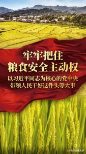 ·牢牢把住粮食安全主动权——以习近平同志为核心的党中央带领人民干好这件头等大事