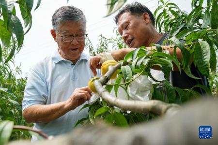 ·二十大代表风采丨赵亚夫：走好科技兴农富农路