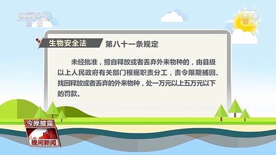 市场、电商仍有鳄雀鳝买卖 外来物种入侵如何阻击？