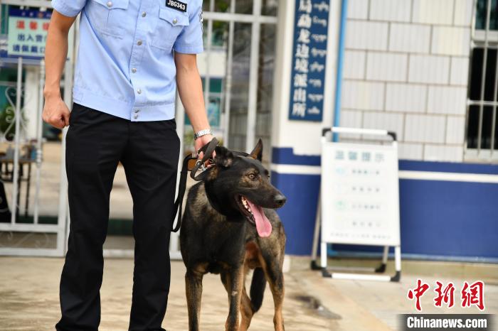 云南西双版纳：警犬协助民警查毒23公斤