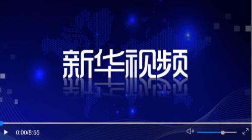 ·习近平同越共中央总书记阮富仲举行会谈