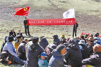 法治护航虫草山