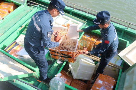 广东海警在辖区海域内查扣一艘涉嫌走私船舶