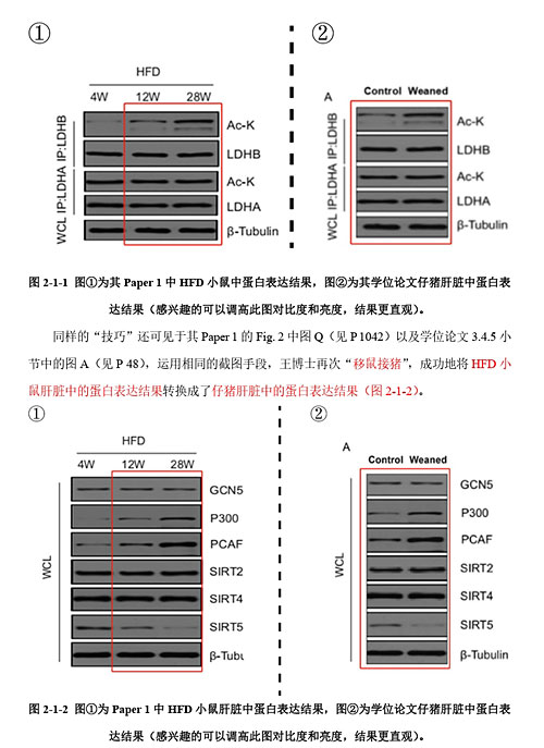 “分手”的决心