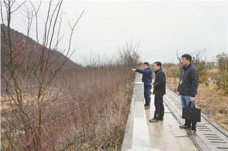 用好纪检监察建议有力武器|纠治靠矿吃矿