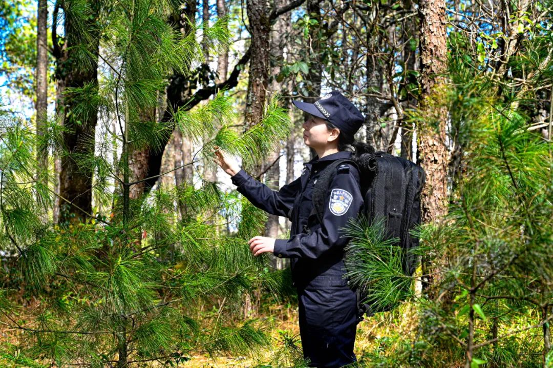 曾经偷穿爸爸警服的小女孩，把荣誉证书带到了父亲墓前