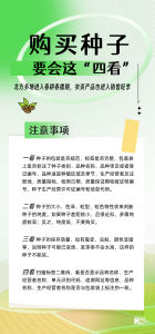 打击整治！这样“坑农”的假冒伪劣种子没有市场