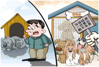 买来的宠物犬为何没活过一周？记者调查“星期宠”售卖乱象