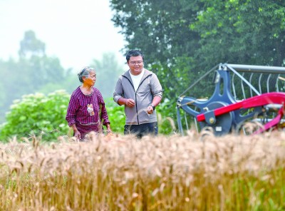 为粮食安全立法 守住管好“天下粮仓”——写在粮食安全保障法实施之际