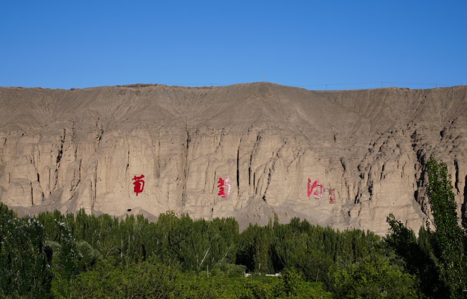 外国青年看法院 | “我看到了最真实、最质朴的司法画卷”