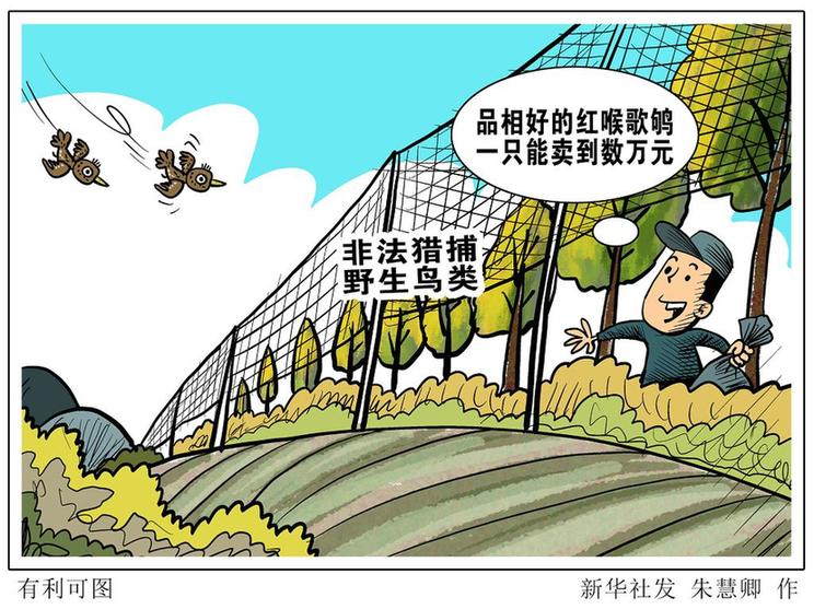 拍案丨莫让“捕网”变“法网” 当心“鸟笼”变“囚笼”