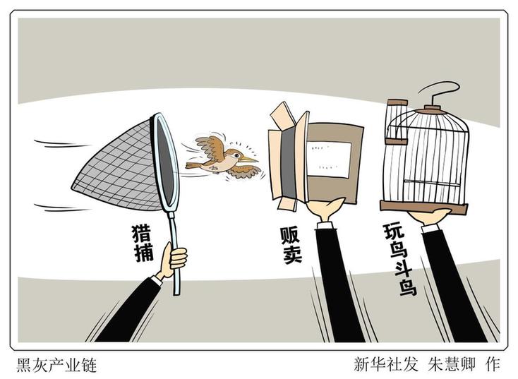 拍案丨莫让“捕网”变“法网” 当心“鸟笼”变“囚笼”