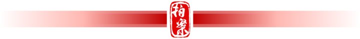 拍案丨莫让“捕网”变“法网” 当心“鸟笼”变“囚笼”